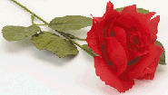 22534.gif