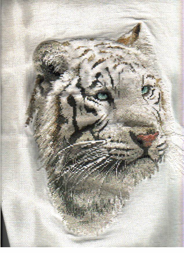 whitetiger.jpg
